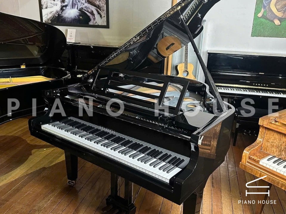 FEURICH 162 - "DYNAMIC I" (Black Polish & Chrome)