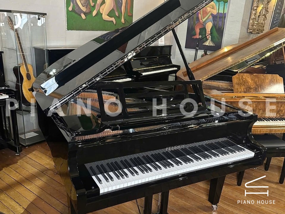 FEURICH 162 - "DYNAMIC I" (Black Polish & Chrome)