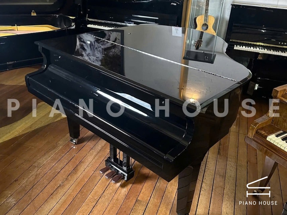 FEURICH 162 - "DYNAMIC I" (Black Polish & Chrome)