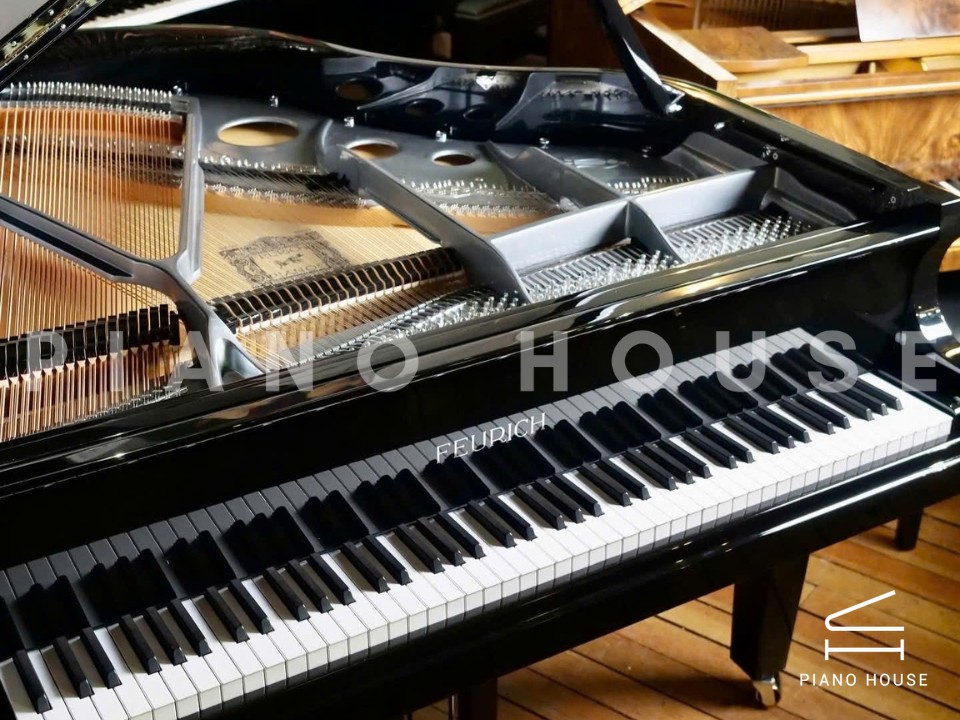 FEURICH 162 - "DYNAMIC I" (Black Polish & Chrome)