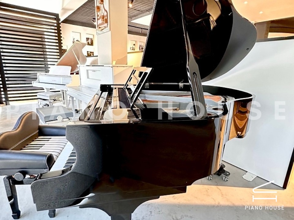 FEURICH 162 - "DYNAMIC I" (Black Polish & Chrome)