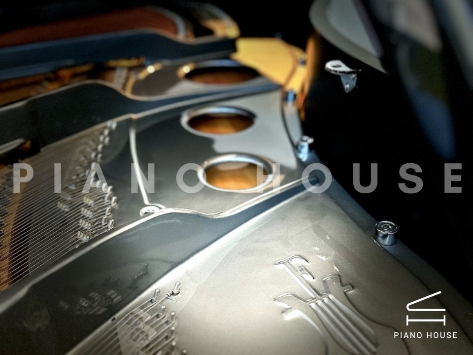 FEURICH 162 - "DYNAMIC I" (Black Polish & Chrome)