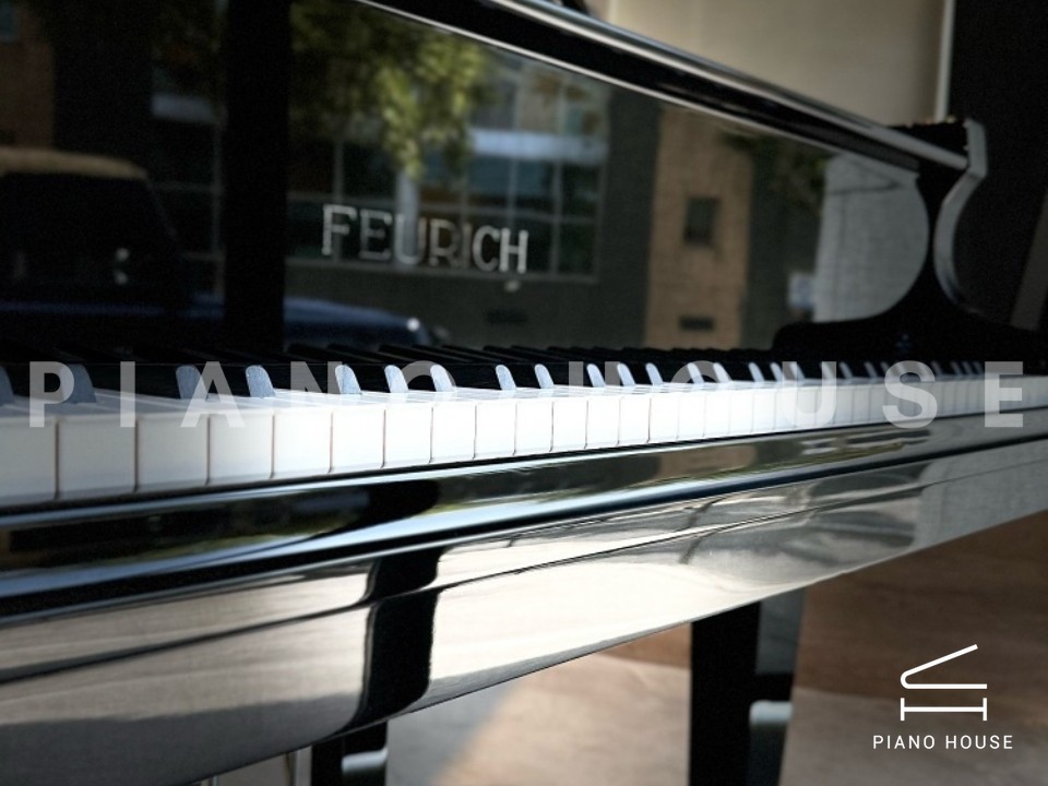 FEURICH 162 - "DYNAMIC I" (Black Polish & Chrome)