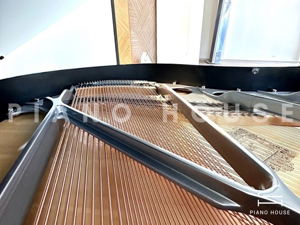 FEURICH 162 - "DYNAMIC I" (Black Polish & Chrome)