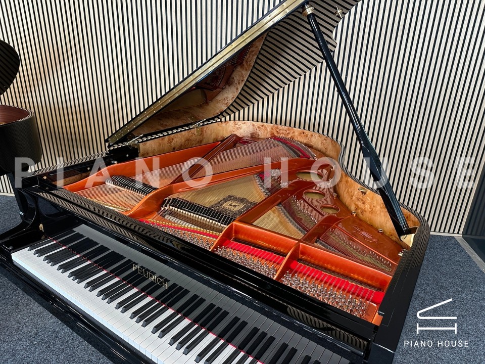 FEURICH 179 & DYNAMIC II (Black Polish & Brass)