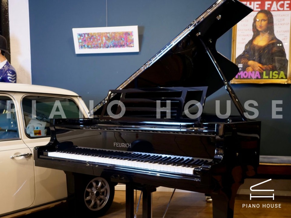 FEURICH 218 - "CONCERT I" (Chrome)