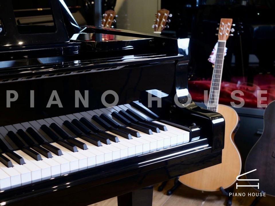 FEURICH 218 - "CONCERT I" (Chrome)