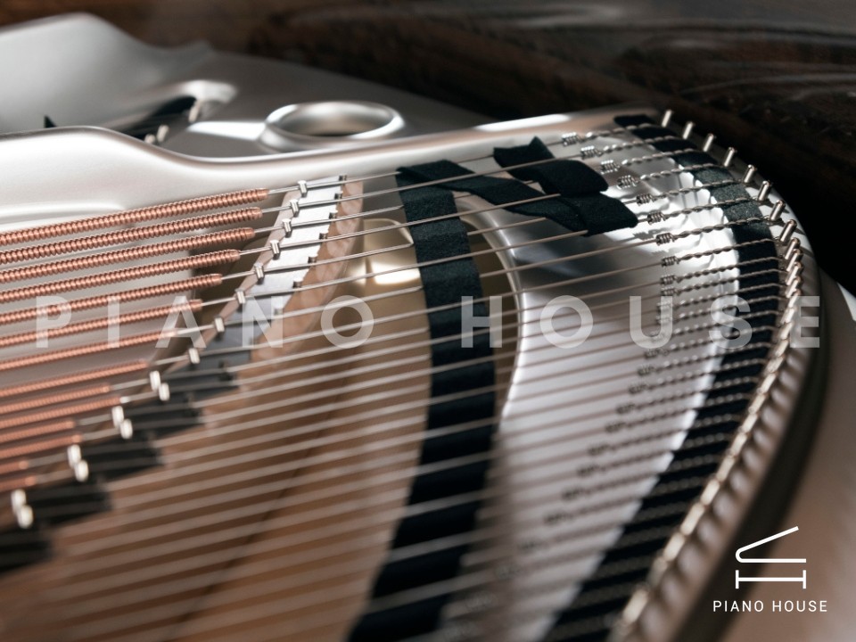 [SPECIAL] EUCALIPTO FUMÉ SILVER