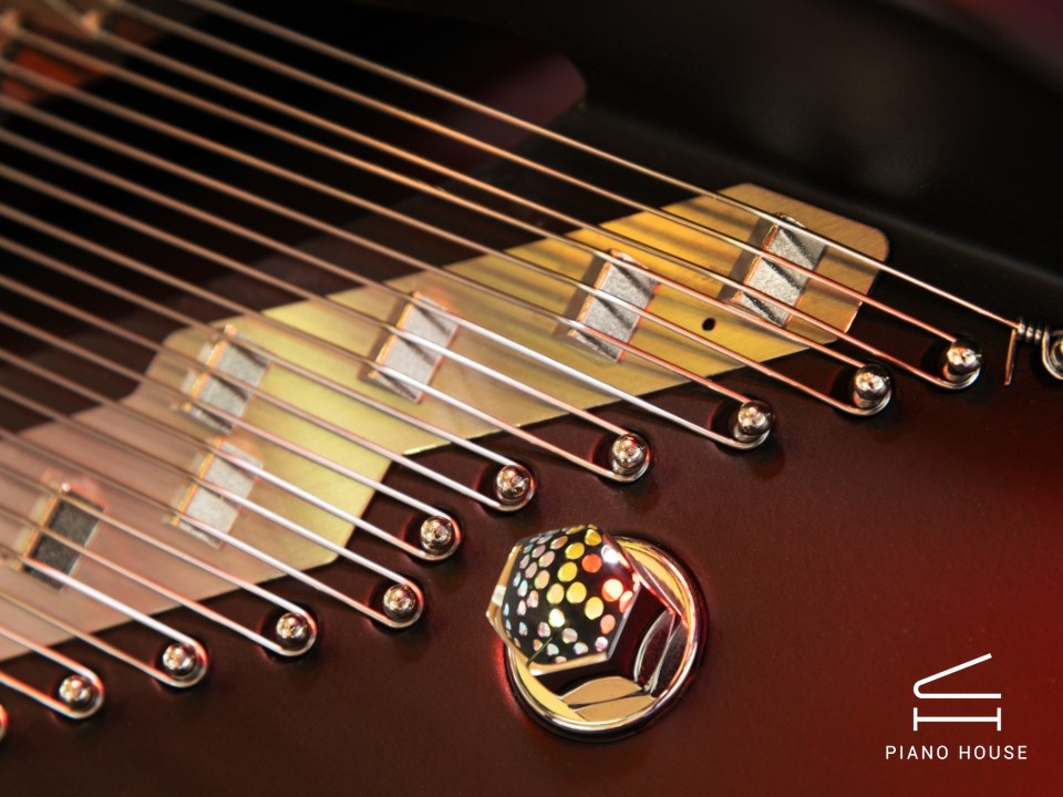 [SPECIAL] FAZIOLI FIRST LIGHT