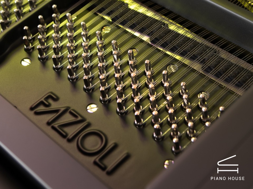 [SPECIAL] FAZIOLI FIRST LIGHT