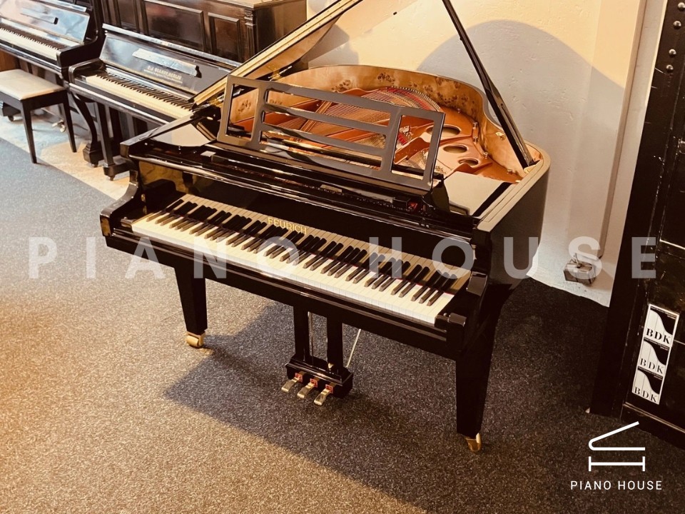 FEURICH 162  & DYNAMIC I (Black Polish & Brass)