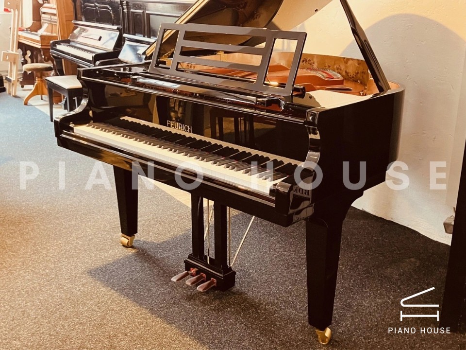 FEURICH 162  & DYNAMIC I (Black Polish & Brass)