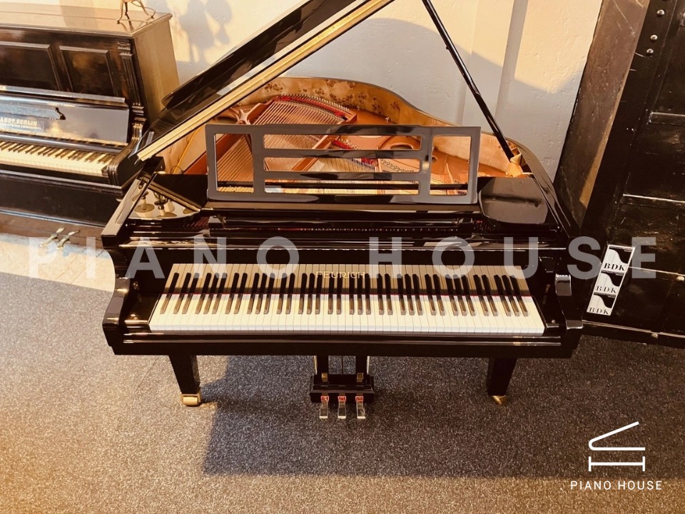 FEURICH 162  & DYNAMIC I (Black Polish & Brass)