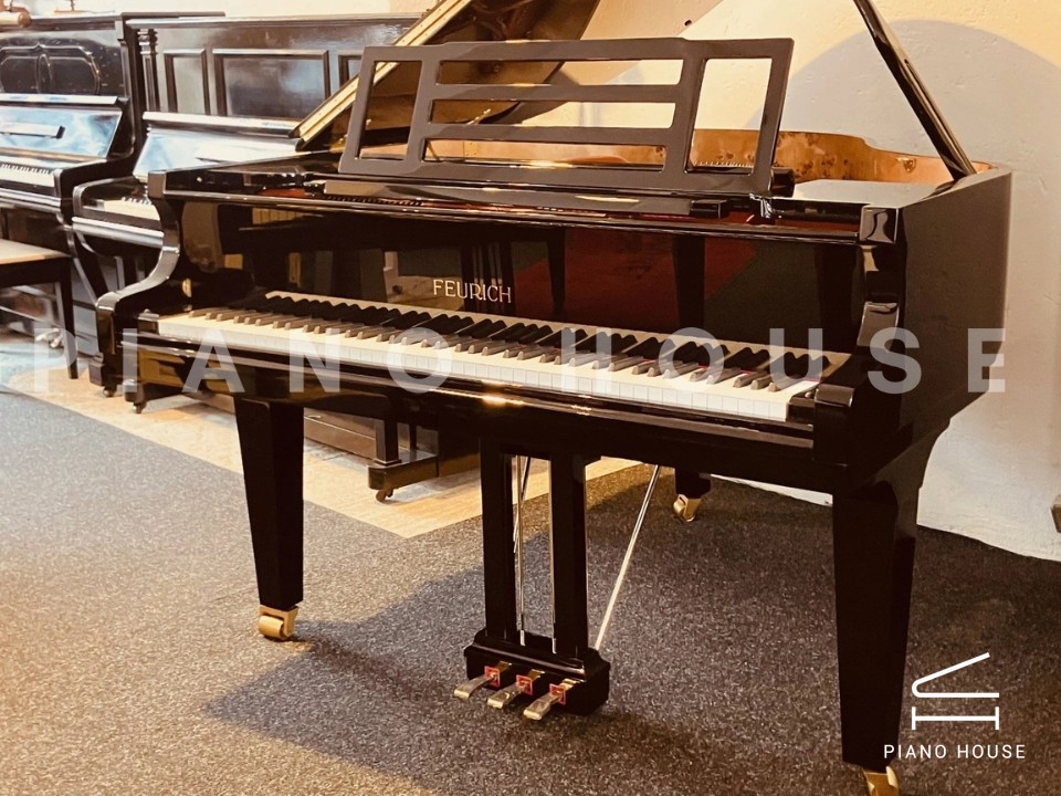 FEURICH 162  & DYNAMIC I (Black Polish & Brass)