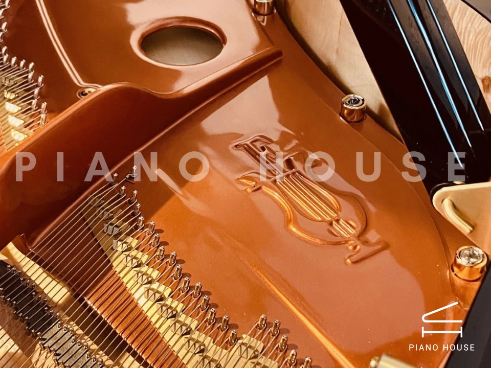 FEURICH 162  & DYNAMIC I (Black Polish & Brass)