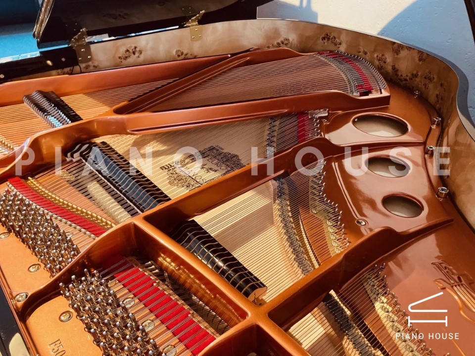 FEURICH 162  & DYNAMIC I (Black Polish & Brass)