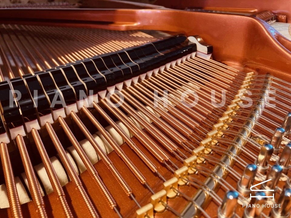 FEURICH 162  & DYNAMIC I (Black Polish & Brass)