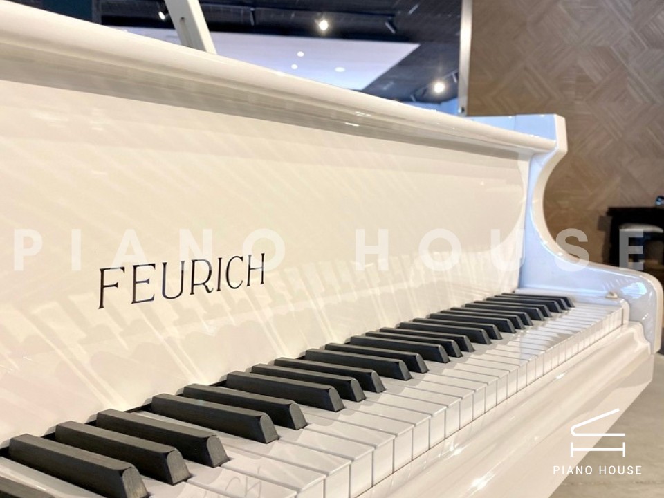 FEURICH 162 - "DYNAMIC I" (White Polish & Chrome)