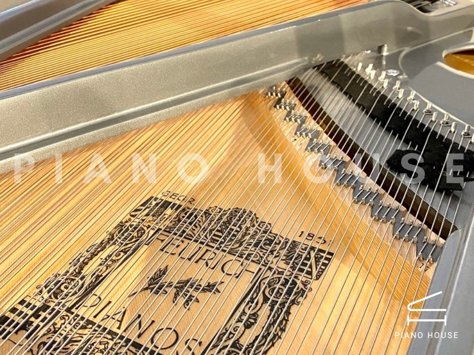 FEURICH 162 - "DYNAMIC I" (White Polish & Chrome)