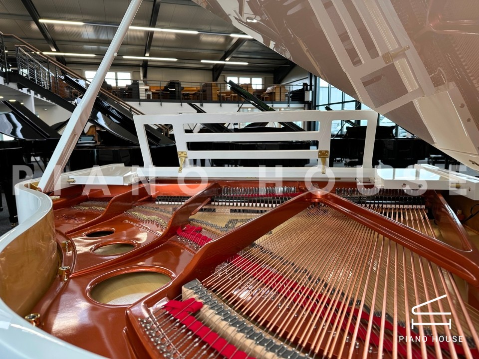 FEURICH 162 - "DYNAMIC I" (White Polish & Brass)