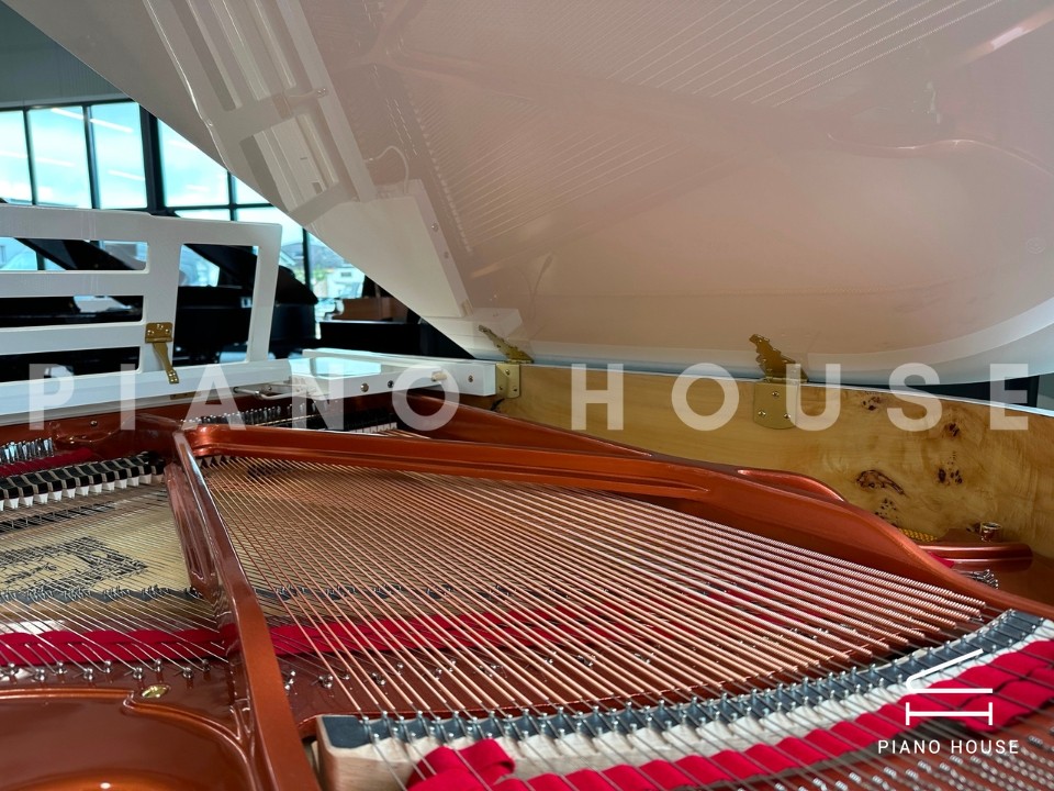 FEURICH 162 - "DYNAMIC I" (White Polish & Brass)