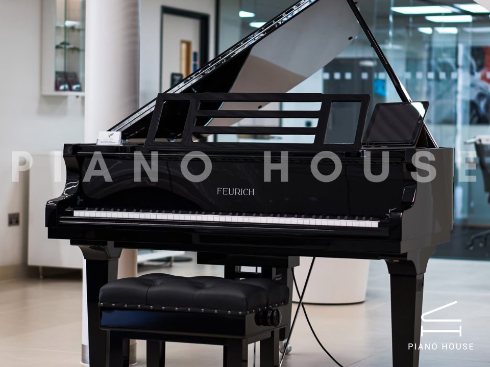 FEURICH 179 - "DYNAMIC II" (Black Polish & Chrome)