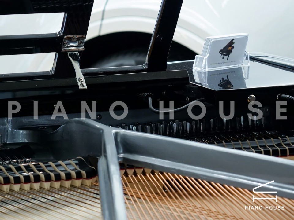 FEURICH 179 - "DYNAMIC II" (Black Polish & Chrome)