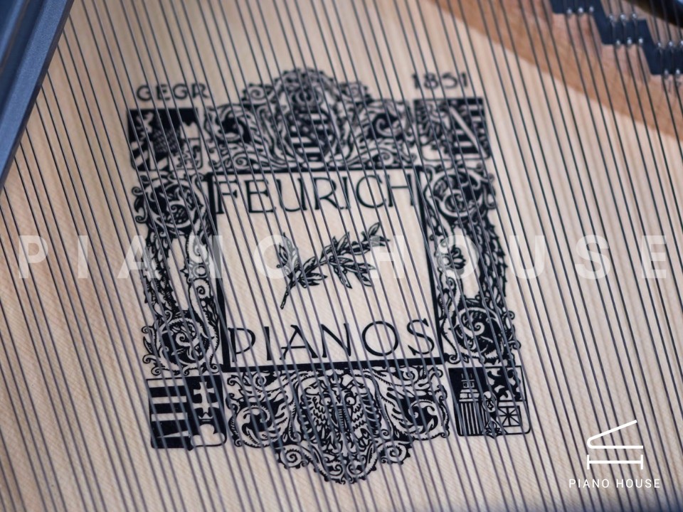 FEURICH 179 - "DYNAMIC II" (Black Polish & Chrome)