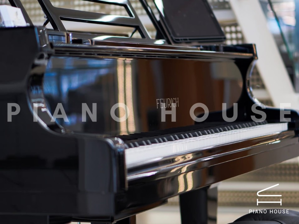 FEURICH 179 - "DYNAMIC II" (Black Polish & Chrome)