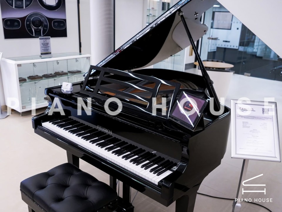 FEURICH 179 - "DYNAMIC II" (Black Polish & Chrome)