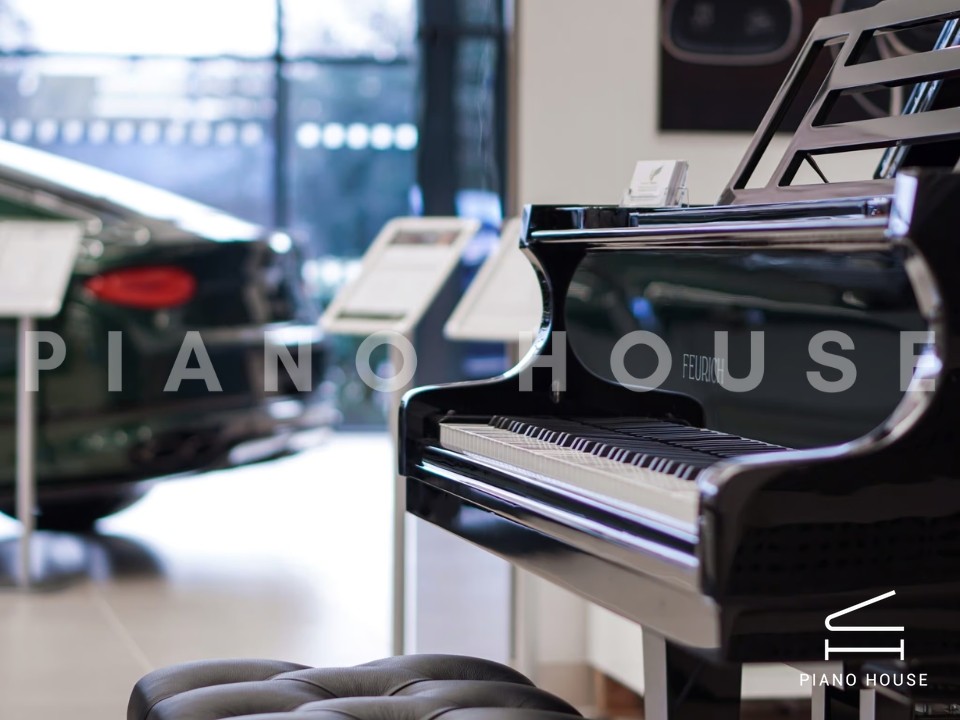 FEURICH 179 - "DYNAMIC II" (Black Polish & Chrome)