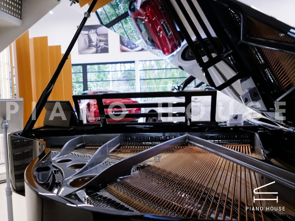 FEURICH 179 - "DYNAMIC II" (Black Polish & Chrome)