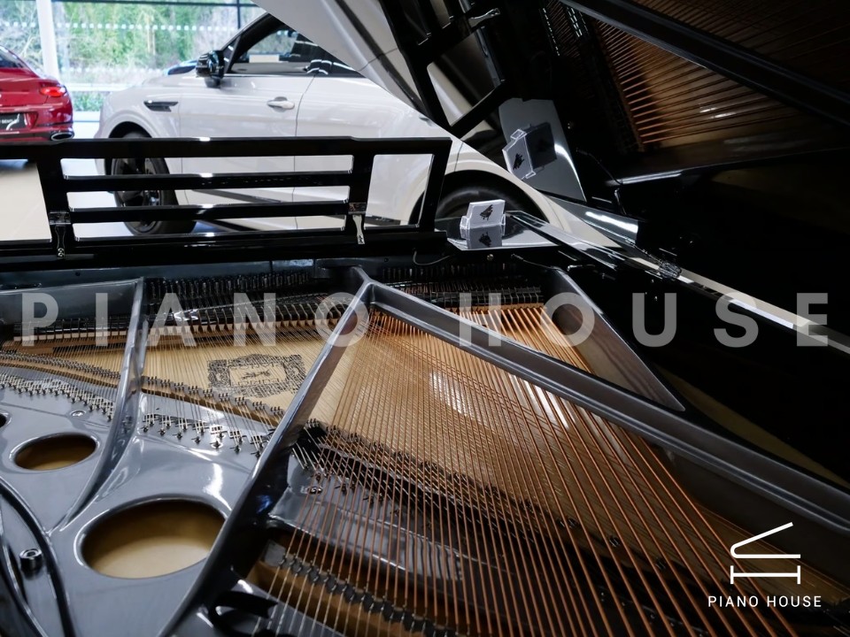 FEURICH 179 - "DYNAMIC II" (Black Polish & Chrome)