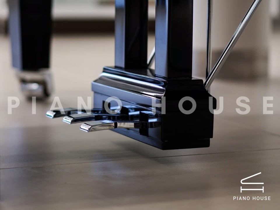 FEURICH 179 - "DYNAMIC II" (Black Polish & Chrome)