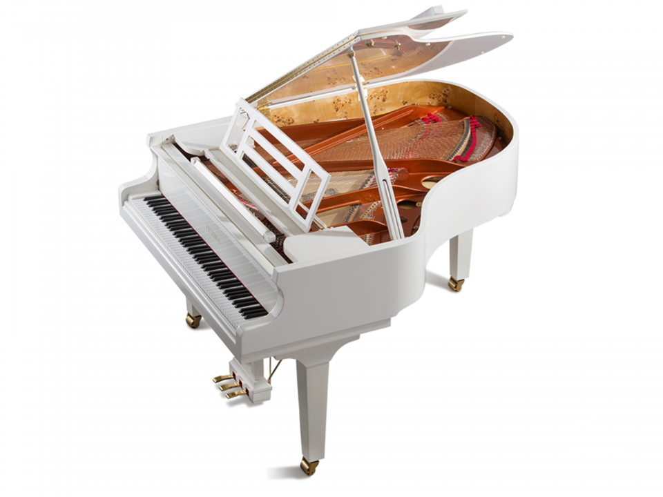 FEURICH 179 & DYNAMIC II (Black Polish & Brass)