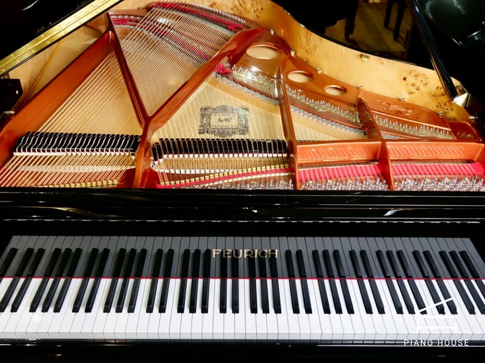 FEURICH 179 & DYNAMIC II (Black Polish & Brass)