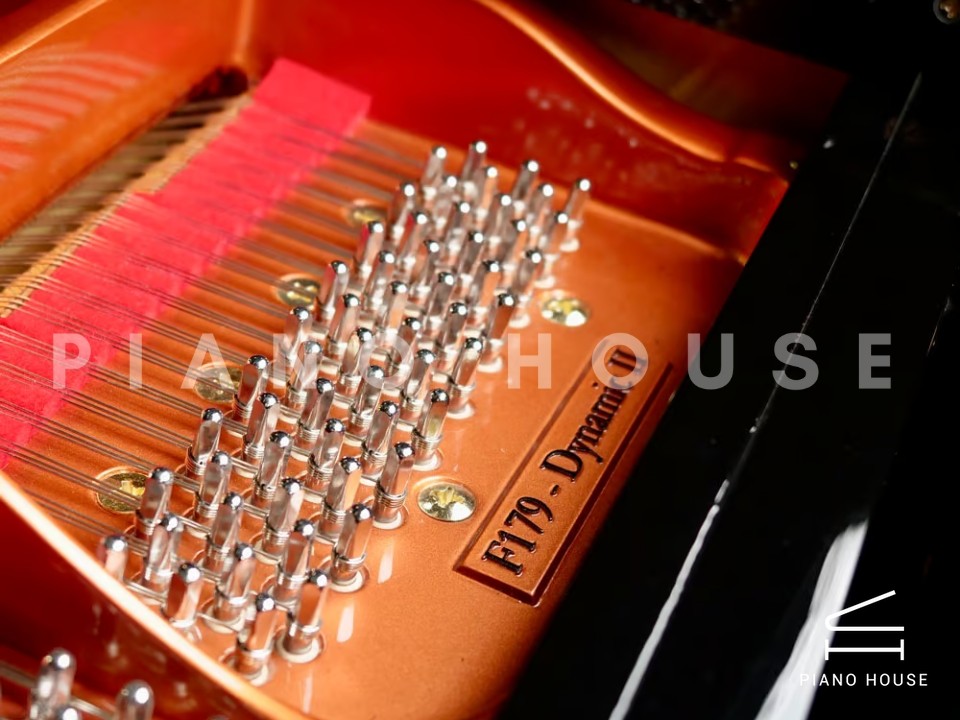 FEURICH 179 & DYNAMIC II (Black Polish & Brass)