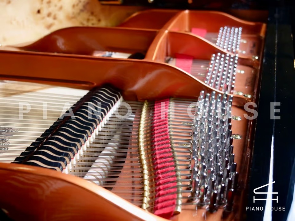 FEURICH 179 & DYNAMIC II (Black Polish & Brass)