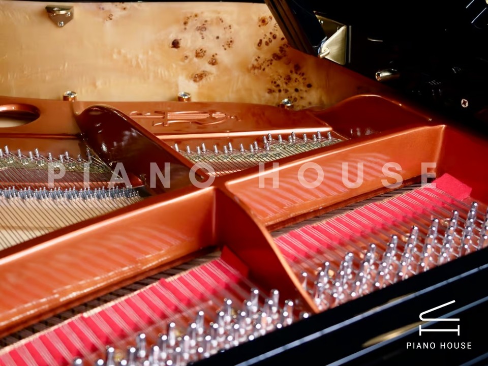 FEURICH 179 & DYNAMIC II (Black Polish & Brass)