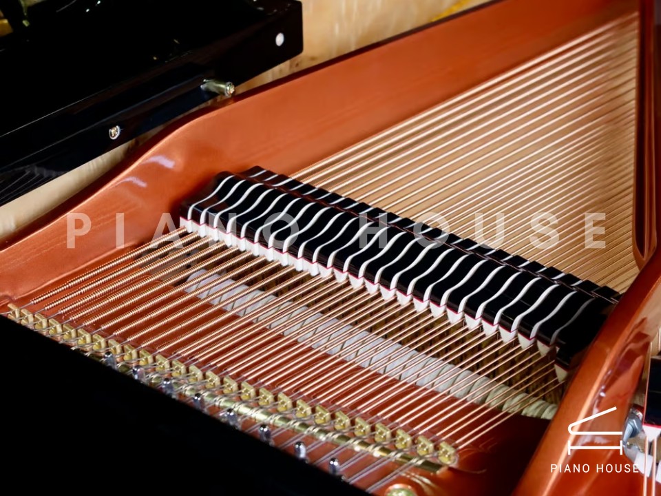 FEURICH 179 & DYNAMIC II (Black Polish & Brass)