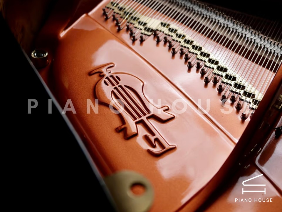 FEURICH 179 & DYNAMIC II (Black Polish & Brass)