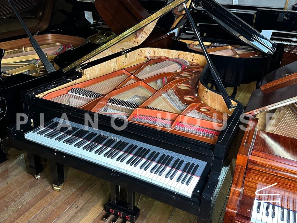 FEURICH 218 - "CONCERT I" (Brass)