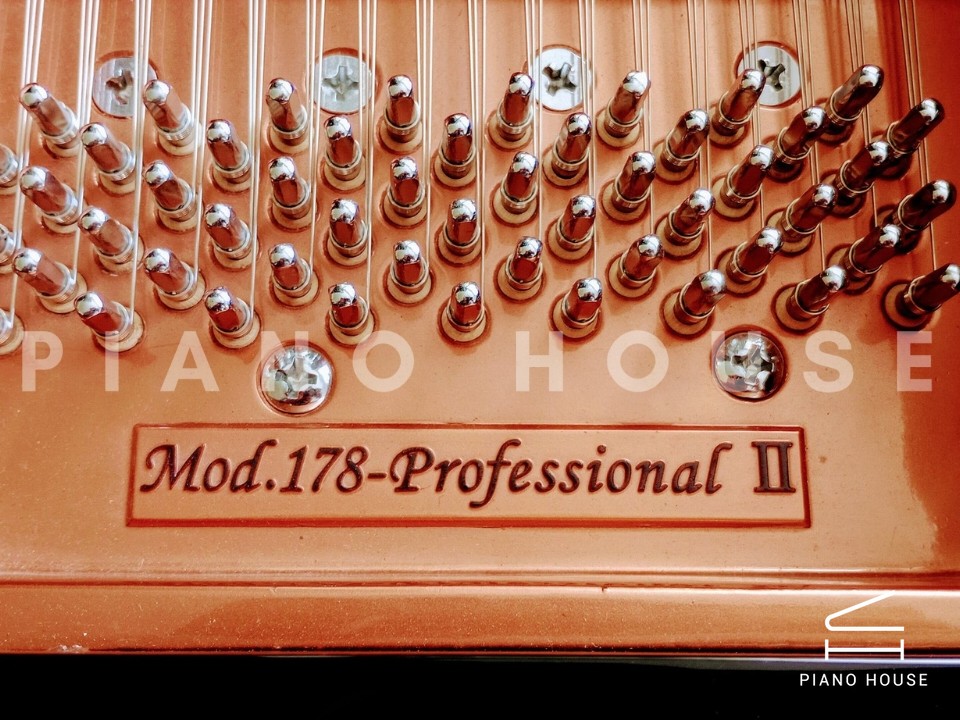 FEURICH Mod.178 DYNAMIC II (USED)