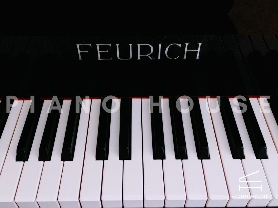 FEURICH Mod.178 DYNAMIC II (USED)