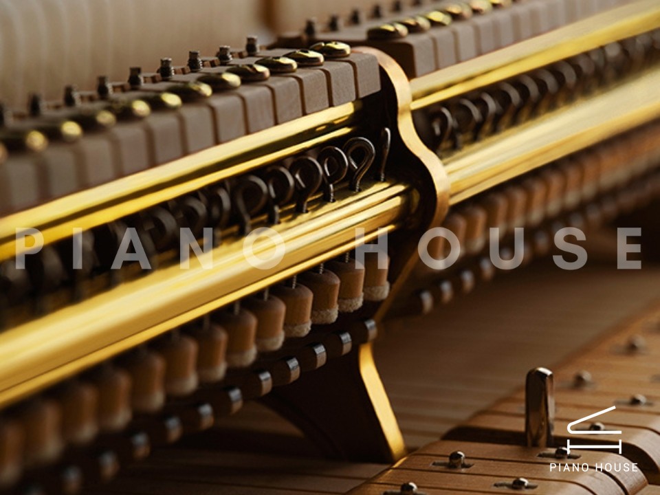 Friedrich Grotrian FG170