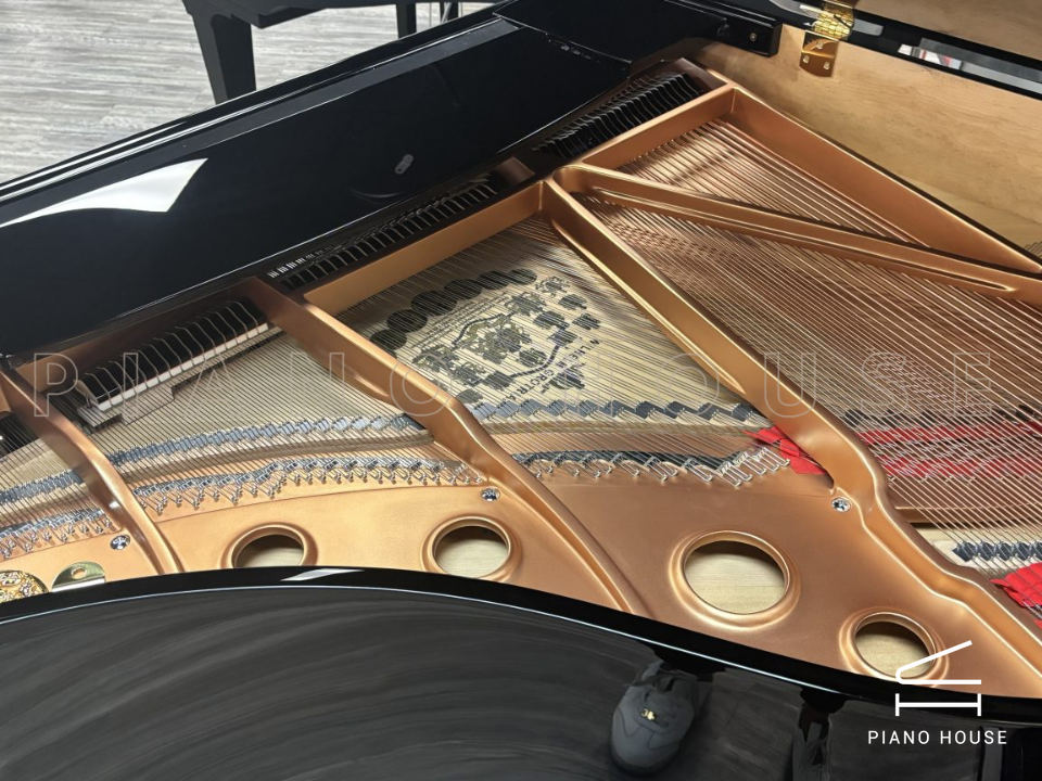 Wilhelm Grotrian WGS165