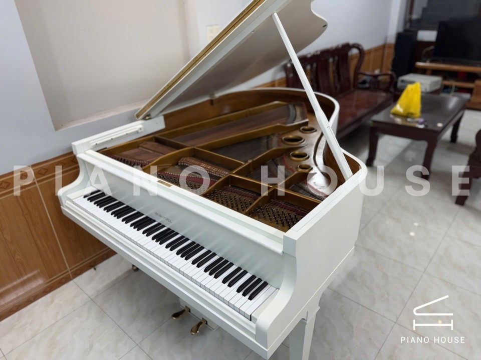 Grand Piano Horugel