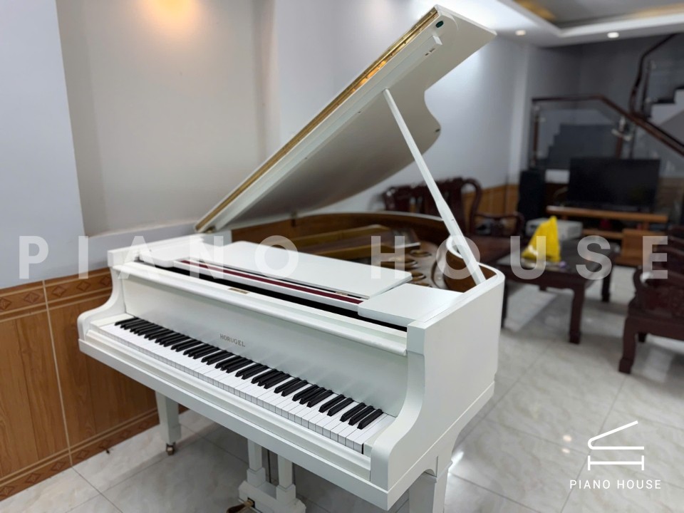 Grand Piano Horugel