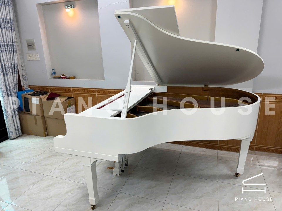 Grand Piano Horugel