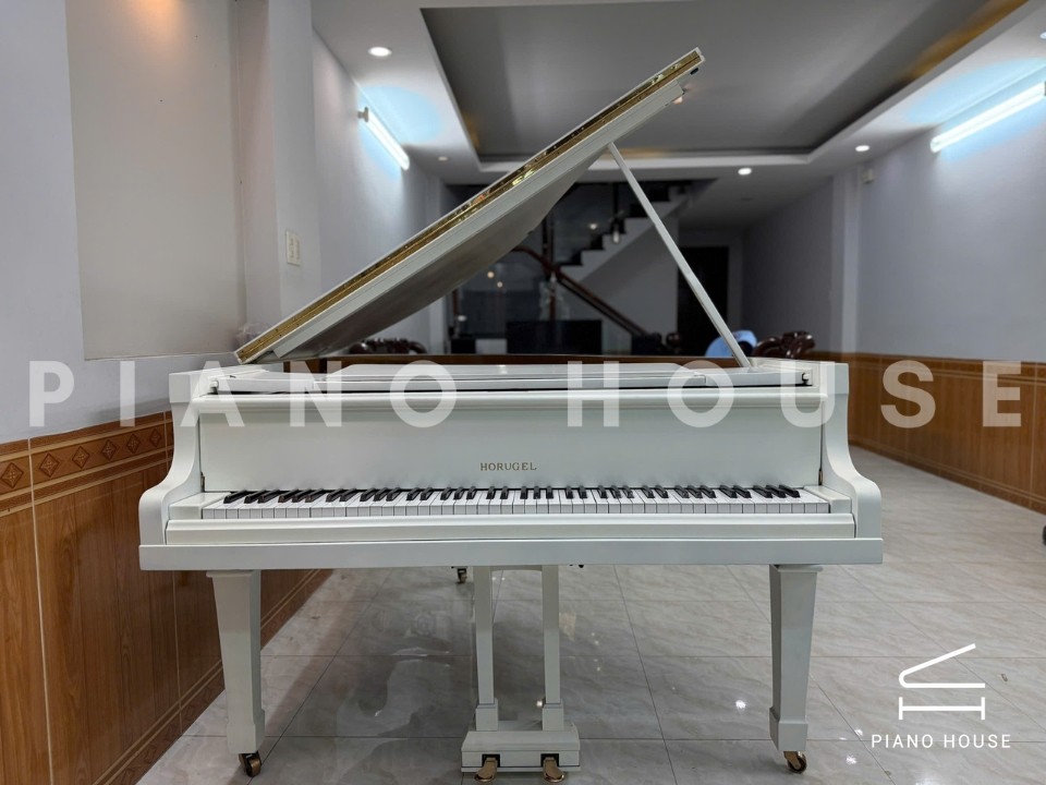 Grand Piano Horugel